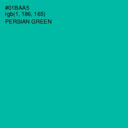 #01BAA5 - Persian Green Color Image