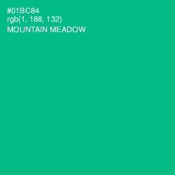 #01BC84 - Mountain Meadow Color Image