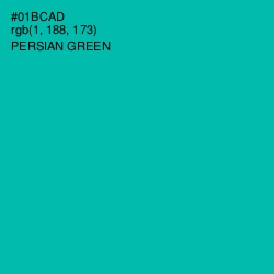 #01BCAD - Persian Green Color Image