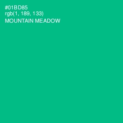 #01BD85 - Mountain Meadow Color Image