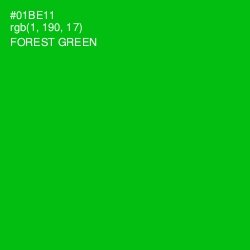 #01BE11 - Forest Green Color Image