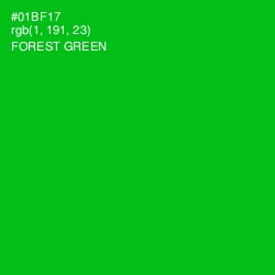 #01BF17 - Forest Green Color Image