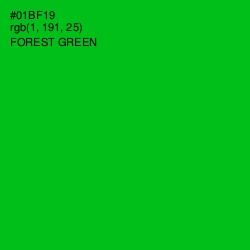 #01BF19 - Forest Green Color Image