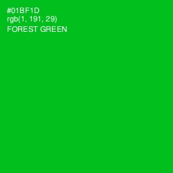 #01BF1D - Forest Green Color Image