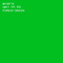 #01BF1E - Forest Green Color Image