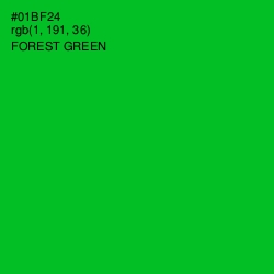 #01BF24 - Forest Green Color Image