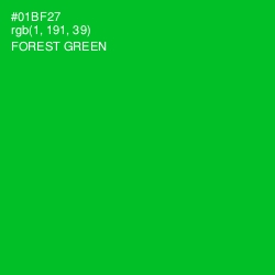 #01BF27 - Forest Green Color Image