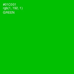 #01C001 - Green Color Image