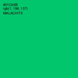 #01C66B - Malachite Color Image
