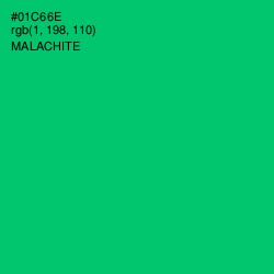 #01C66E - Malachite Color Image