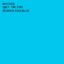 #01C6EE - Robin's Egg Blue Color Image