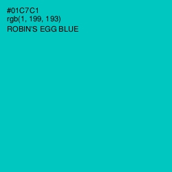 #01C7C1 - Robin's Egg Blue Color Image