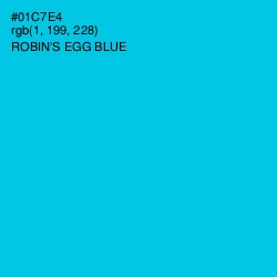 #01C7E4 - Robin's Egg Blue Color Image