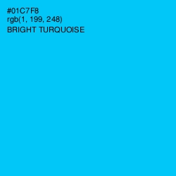 #01C7F8 - Bright Turquoise Color Image