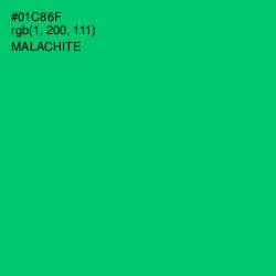 #01C86F - Malachite Color Image