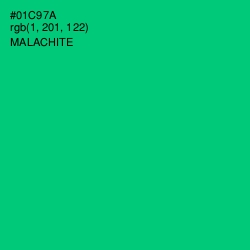 #01C97A - Malachite Color Image