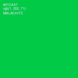 #01CA47 - Malachite Color Image