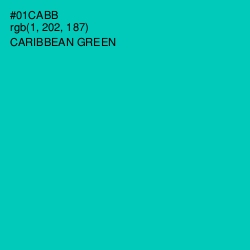 #01CABB - Caribbean Green Color Image