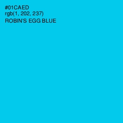 #01CAED - Robin's Egg Blue Color Image