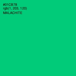 #01CB78 - Malachite Color Image