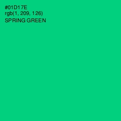 #01D17E - Spring Green Color Image