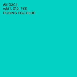 #01D2C1 - Robin's Egg Blue Color Image