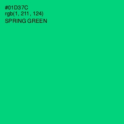 #01D37C - Spring Green Color Image