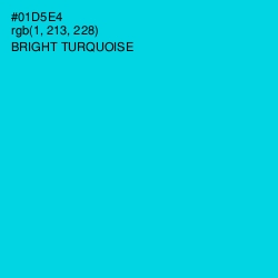 #01D5E4 - Bright Turquoise Color Image