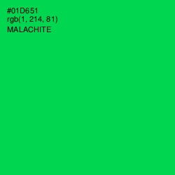 #01D651 - Malachite Color Image
