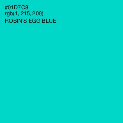 #01D7C8 - Robin's Egg Blue Color Image