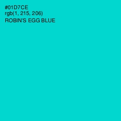 #01D7CE - Robin's Egg Blue Color Image