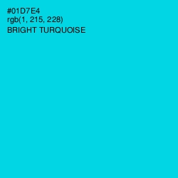 #01D7E4 - Bright Turquoise Color Image