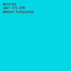 #01D7E5 - Bright Turquoise Color Image