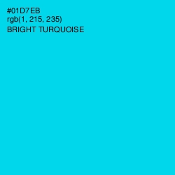 #01D7EB - Bright Turquoise Color Image