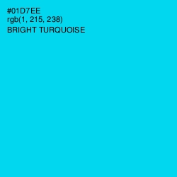 #01D7EE - Bright Turquoise Color Image