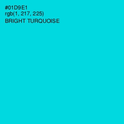 #01D9E1 - Bright Turquoise Color Image