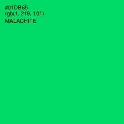 #01DB65 - Malachite Color Image
