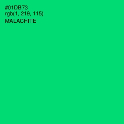 #01DB73 - Malachite Color Image