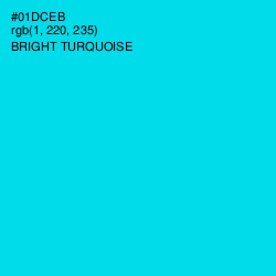 #01DCEB - Bright Turquoise Color Image