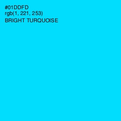 #01DDFD - Bright Turquoise Color Image