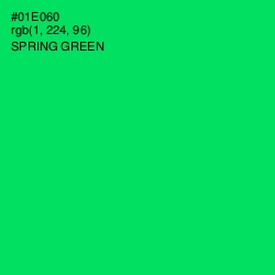 #01E060 - Spring Green Color Image