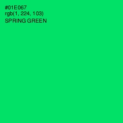 #01E067 - Spring Green Color Image