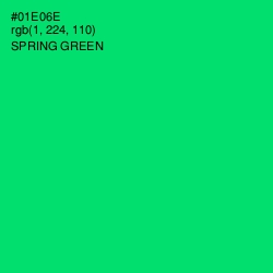#01E06E - Spring Green Color Image