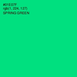 #01E07F - Spring Green Color Image