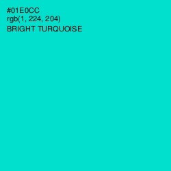 #01E0CC - Bright Turquoise Color Image
