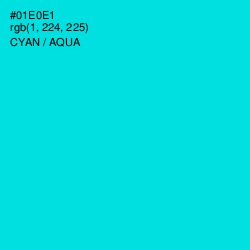 #01E0E1 - Cyan / Aqua Color Image