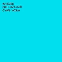 #01E0EE - Cyan / Aqua Color Image