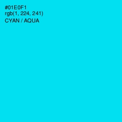 #01E0F1 - Cyan / Aqua Color Image