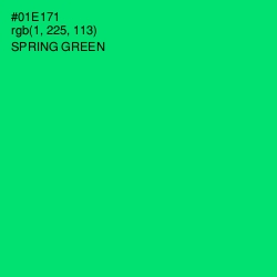 #01E171 - Spring Green Color Image