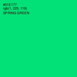 #01E177 - Spring Green Color Image